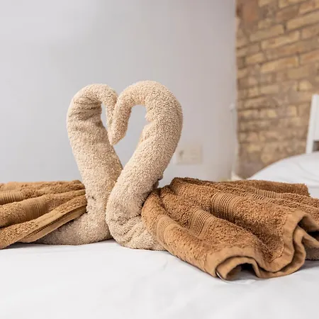 Loft Ciudad Vieja Apartment Valencia